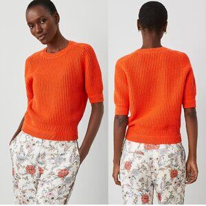 NWT ANN TAYLOR Open Stitch Wedge Sweater Short Sleeve Deep Flame Orange Size XL
